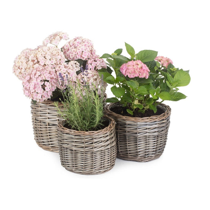 The Willow Basket Round Antique Wash Wicker Planter